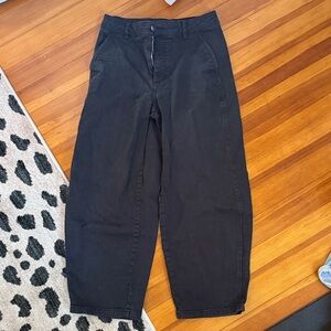 Everlane Way High Curvy Barrel Pant